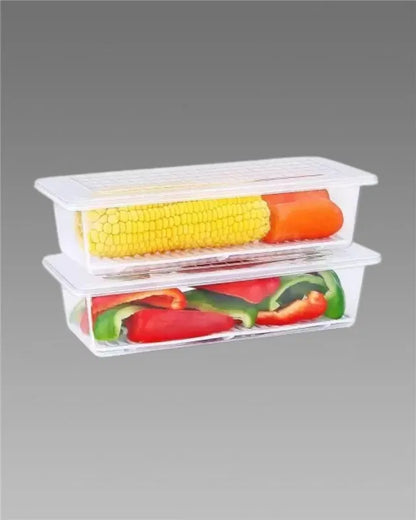 Storage Containers Box (Pack of 2)