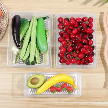 Storage Containers Box (Pack of 2)