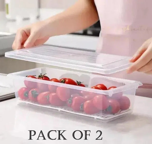 Storage Containers Box (Pack of 2)
